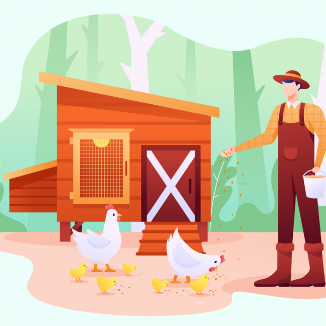 presentation-le-site-francais