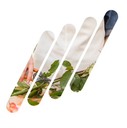 creation-site-fleuriste